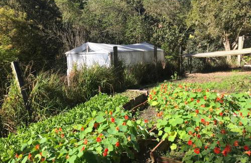 Casa Crudo, PRIVACIDADE NA MATA ATLÂNTICA, piscina, trilhas e descanso - Foto 19