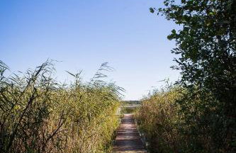 SASKI ZAKĄTEK, WAKACJE W BAJKOWYM DOMKU!!! MAZURY, SAUNA, JEZiORO, POMOST, - Foto 55