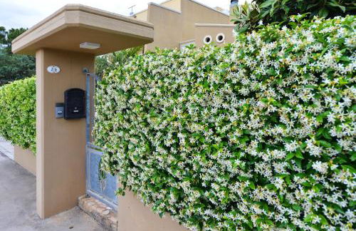 Dimora Algano Apartment - Foto 45