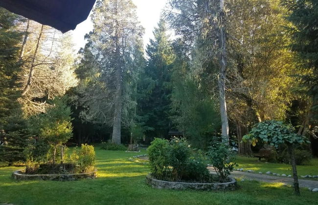 Cabañas Las Maras - Foto 23