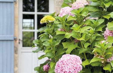 Tranquiloue - Maison de charme à la campagne - PuyduFou - Photo 30