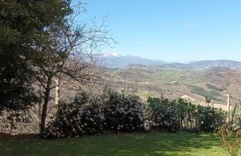 L'ALPACA DELLA ROSSA - AGRITURISMO - Foto 69