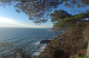 Cinqueterre National Park Sea view - Foto 26