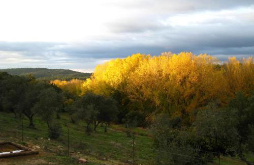 Vivienda Rural Olivar del Chanza - Foto 20