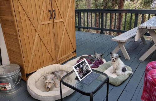 Breckenridge Chalet near Yosemite. Dog friendly! - Foto 10