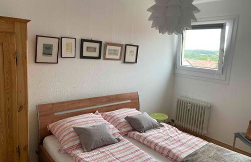 Guck zum Bodensee - Foto 6