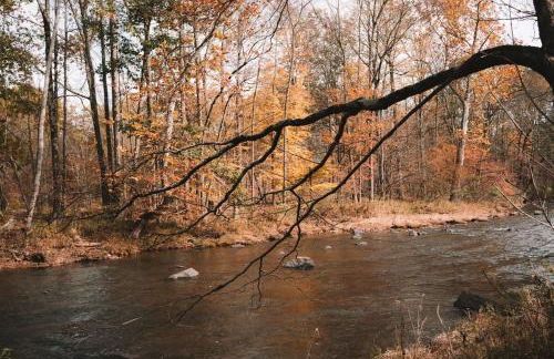 Chestnut Hill Farm - Foto 12