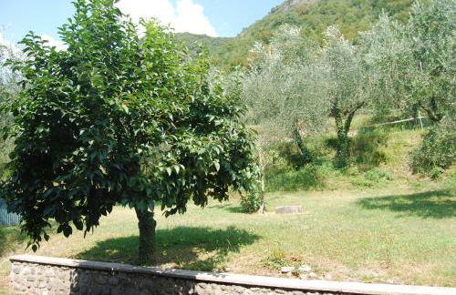 AGRITURISMO Cascina Bissiniga - Foto 11