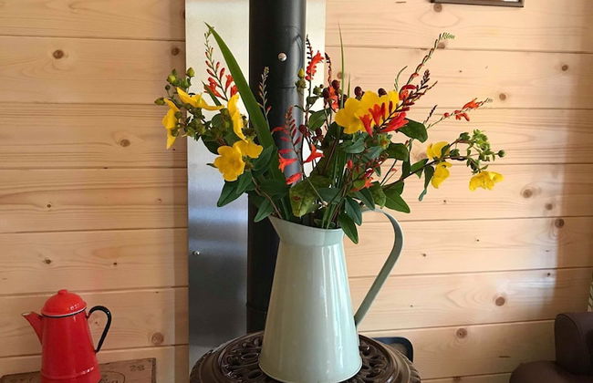 Off Grid 1-bed Cabin, Pets Ok, 20 Mins to Dunoon - Foto 15