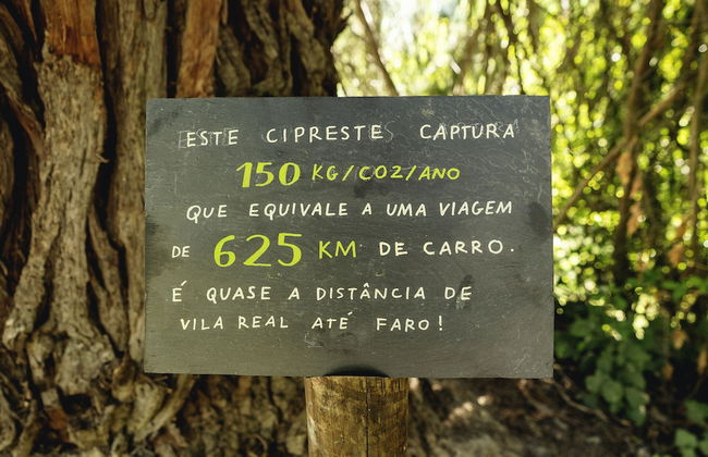 Casa Agrícola da Levada Eco Village - Foto 50