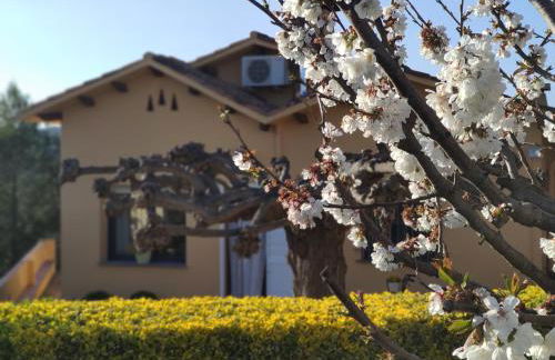 El racó del Puig - Foto 31