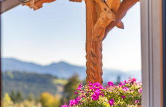 Plattner-Hof - Foto 28