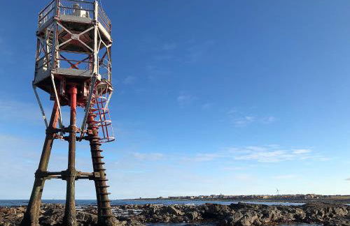 Cotton Shore - Foto 14