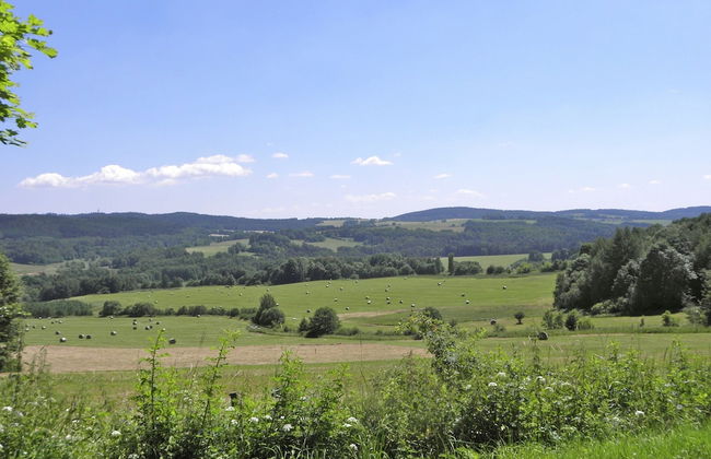 Holiday House Near Forest in Obora - Foto 16