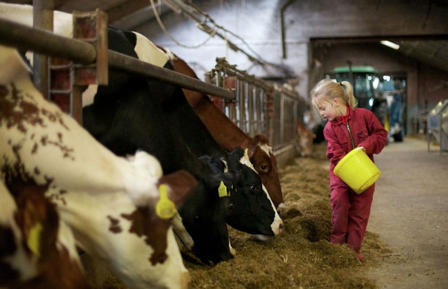 Peaceful Farmside Bungalow - Photo 19