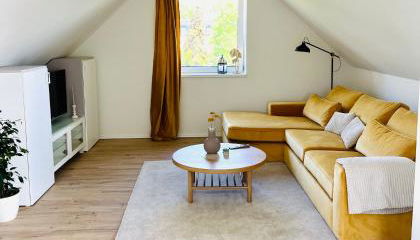 55m2 Chemnitz Rabenstein Kids Welcome, Wifi, Privater Parkplatz, Waschmaschine, Babybett, Klimaanlage - Foto 5