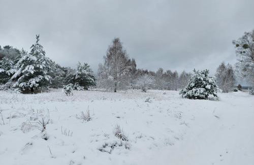 Pauza Drzewoszewo - Dom nad jeziorem - Foto 27