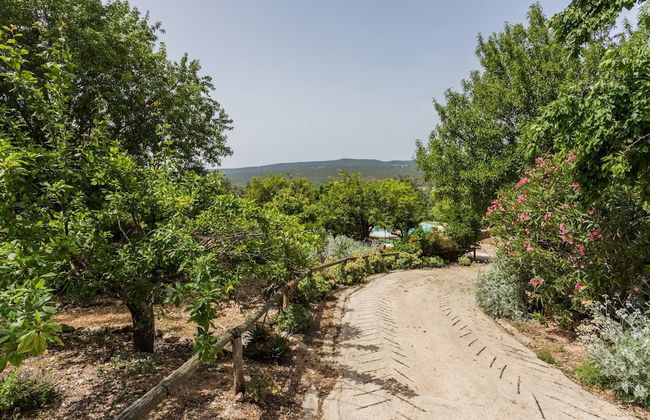 Casa Amoreira - Quinta Amoreira - Foto 44