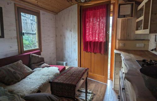 roulotte à la mauvaise herbe - Foto 11