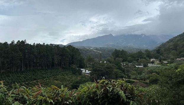 Paesaggi dalla tenuta