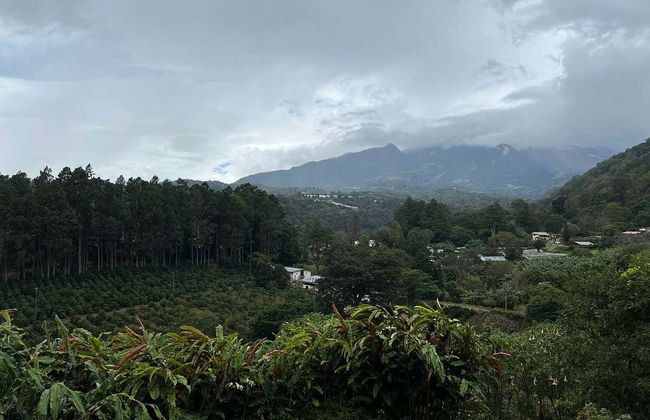 Boquete Coffee Tour - Photo 4