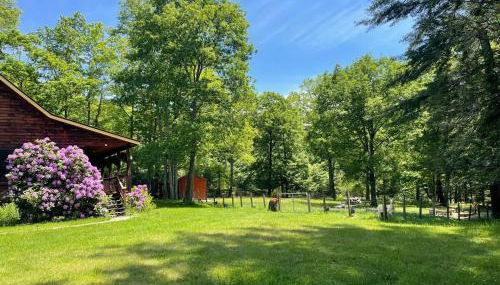Log Cabin at the Goat Sanctuary - Foto 5