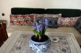 Pefkas Hill - Foto 7