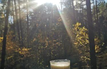 Ferienhaus Marianna am See - free Sauna, Ruderboot, Kajak & WLAN - Photo 30