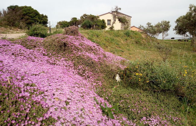 Tenuta Petra Bianca - Foto 28