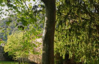Palacio de Hualle - Photo 39