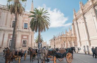 Larra Nervión Subway Tranvía - Foto 45