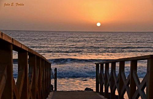 Wild House - Photo 48