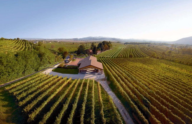 Visita a la bodega Fasol Menin - Foto 2