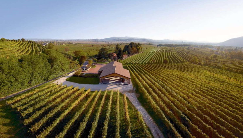 Visita a la bodega Fasol Menin - Foto 2, Bodega Fasol Menin