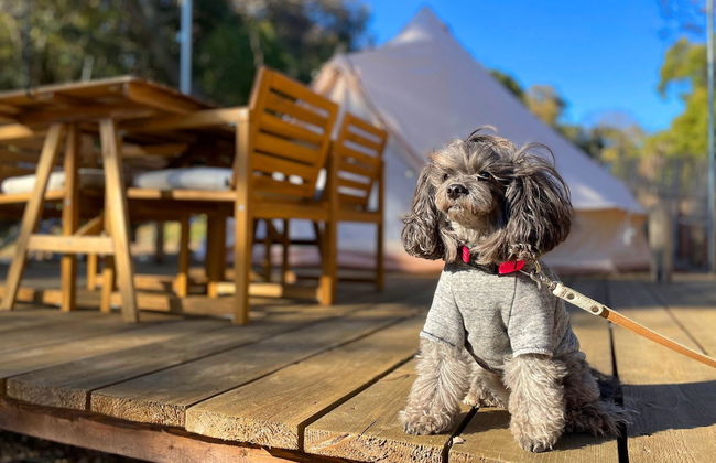 COUSCOUS Glamping Manazuru - Foto 5