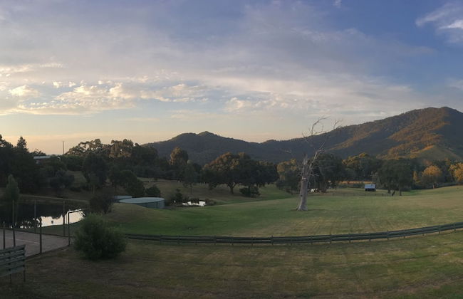 The Black Sparrow - Photo 62