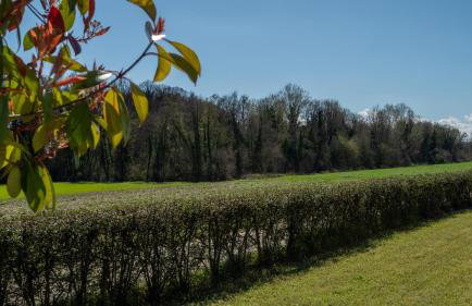 AGRITURISMO BORGO DEL MINCIO - Foto 66