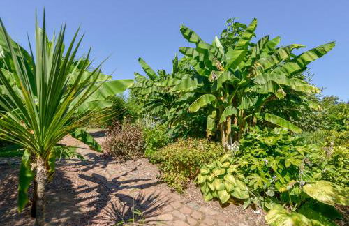 The Old Parlour - Foto 27