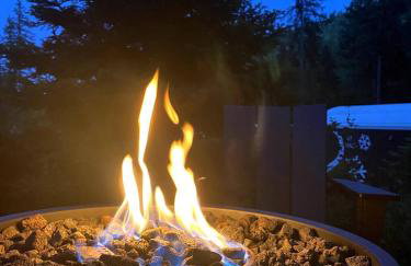 CAMP HAUS Cabin Retreat Sauna, Plunge, Hot Tub - Photo 9