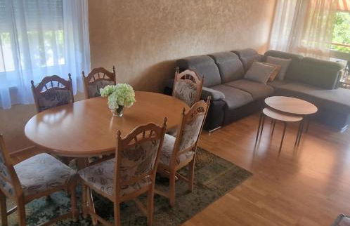 Am Gifizsee 3 Zim Apartment für Familien - Foto 6