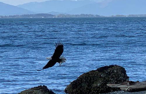 Eagle's Nest Retreat - Foto 38