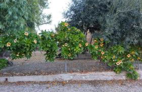 Estudio "La Cochera de Sorrapa" - Foto 34