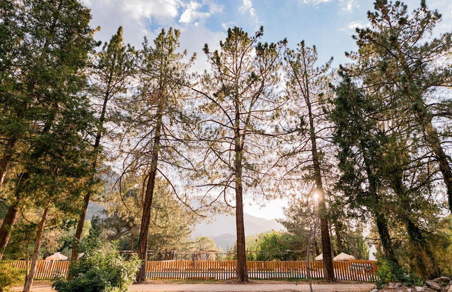 Huttopia Paradise Springs - Foto 54