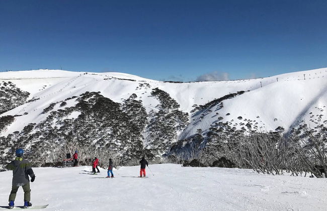 24 Hotham 3 Bedroom Renovated Apartment - Photo 9