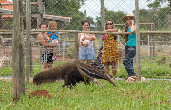 Ingresso do Bio Park com guia - Foto 7