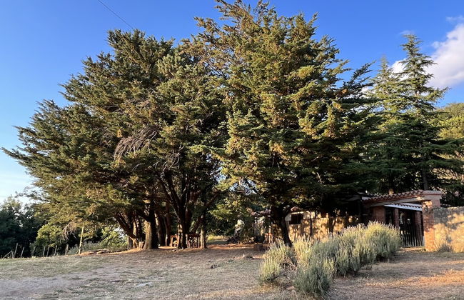 Agriturismo Bosco Pianetti - Foto 27