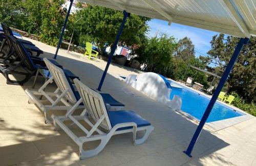 Quinta Alfaval - Foto 44