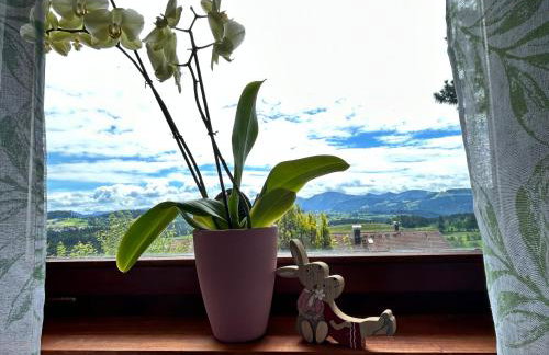 Appart am Hang mit Alpenblick - Foto 9