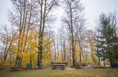 Old Chestnut Vacation Home - Foto 45