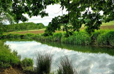 Naša mala koliba - Foto 13